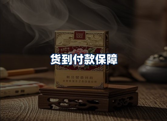 专业团队办公环境